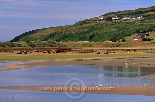 Barley Cove, near Dough, Mizen peninsula, Ireland - Mizen peninsula, Irlande  15478