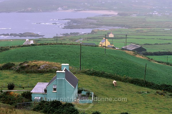 Green house, Ireland - Maison verte, Irlande  15503