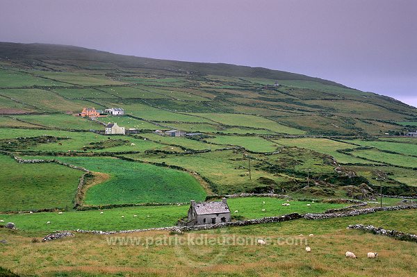 Beara peninsula, Ireland - Beara peninsula, Irlande  15504