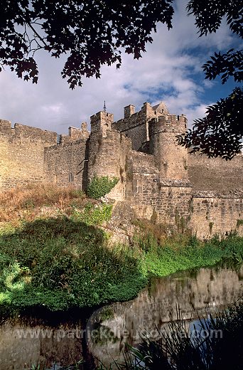 Cahir Castle, Cahir, Ireland - Chateau de Cahir, Irlande 15200