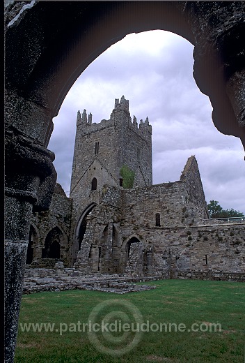 Jerpoint Abbey, Co Kilkenny, Ireland - Abbaye de Jerpoint, Irlande  15263