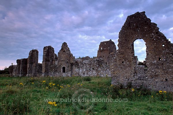 Athassel Priory, near Cashel, Ireland - Prieuré d'Athassel, Irlande 15195