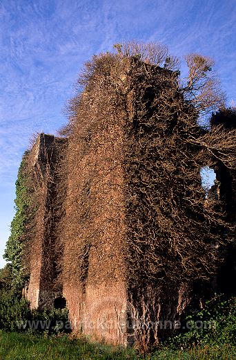 Castle at Rosscarbery, Ireland  - Chateau à Rosscarbery, Irlande  15230