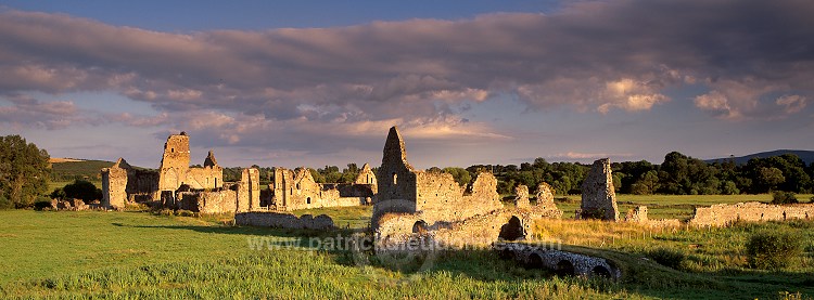 Athassel Priory, near Cashel, Ireland - Prieuré d'Athassel, Irlande  15220