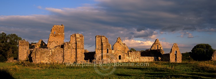 Athassel Priory, near Cashel, Ireland - Prieuré d'Athassel, Irlande 15222