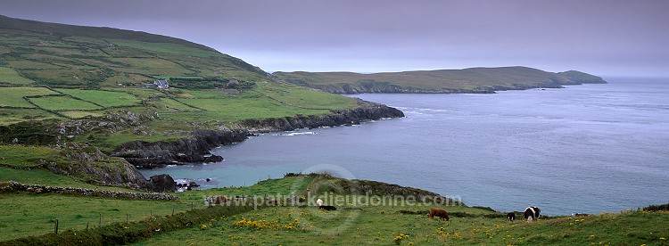 Beara peninsula, Ireland - Beara peninsula, Irlande  15395