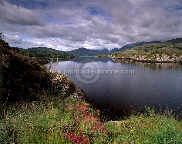 Upper Lake, lakes of Killarney, Ireland - Lac supérieur, Killarney, Irlande  15427