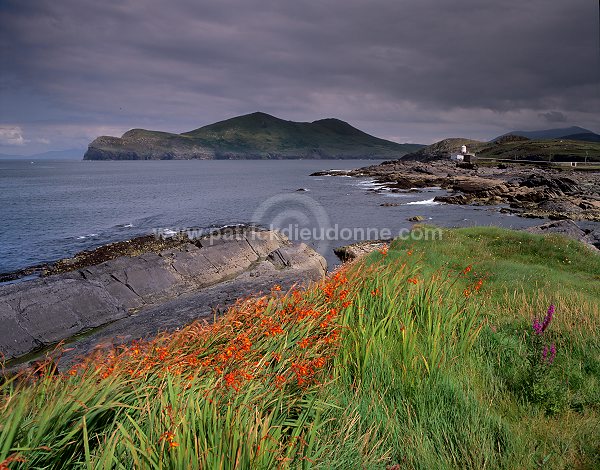 Valentia island, Kerry, Ireland - Ile de Valentia, Kerry, Irlande  15457