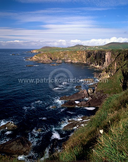 Dingle peninsula coastline, Ireland - Côte de Dingle, Irlande 15462