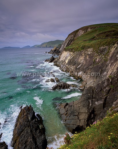 Slea Head, Dingle peninsula, Ireland - Slea Head, Dingle, Irlande  15431