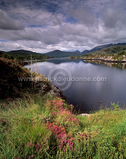 Upper Lake, lakes of Killarney, Ireland - Lac supérieur, Killarney, irlande 15428