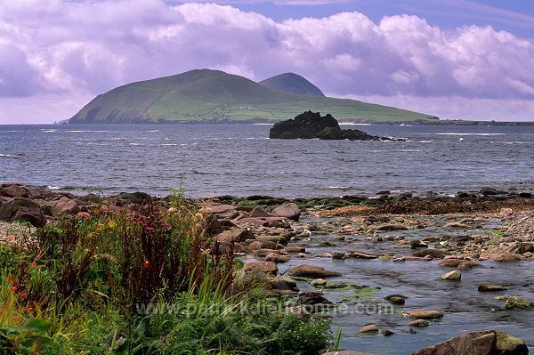 Blasket (Great) island, Dingle,Ireland - Great Blasket, Irlande  15489