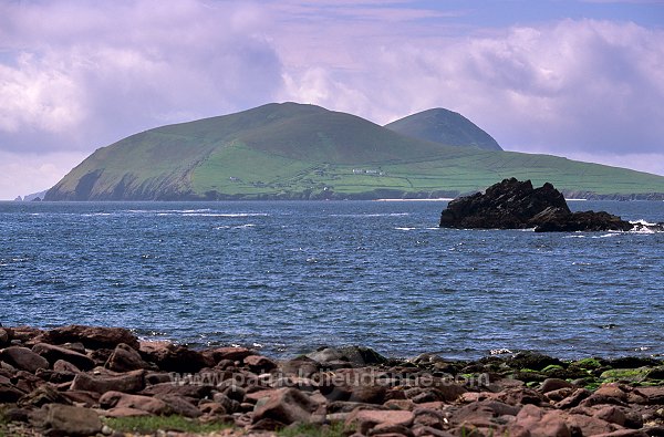 Blasket (Great) island, Dingle,Ireland - Great Blasket, Irlande  15490