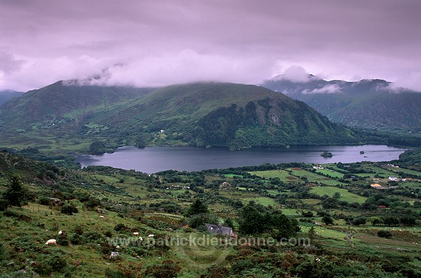 Glanmore lake & Healy Pass, Ireland - Healy Pass, Irlande  15505