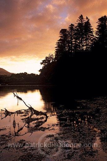 Sunset, Beara peninsula, Ireland - Couchant, Beara, Irlande 15331