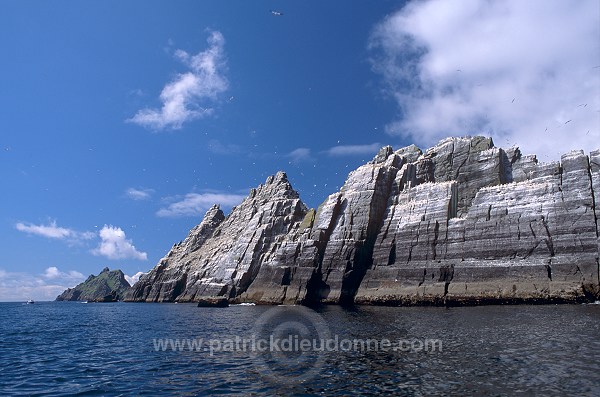 Little Skellig reserve, Kerry, Ireland - Reserve de little Skellig, Irlande  15294