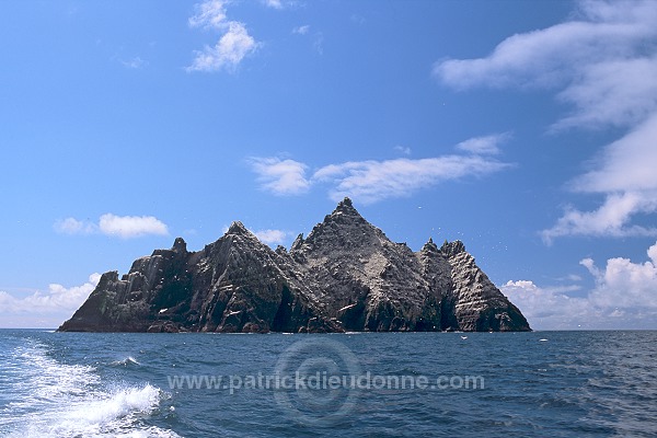 Little Skellig reserve, Kerry, Ireland - Reserve de little Skellig, Irlande  15298