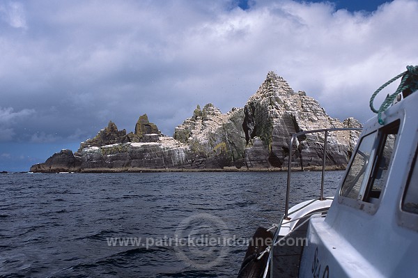 Little Skellig reserve, Kerry, Ireland - Reserve de little Skellig, Irlande  15301