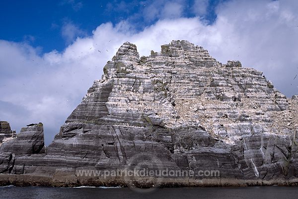 Little Skellig reserve, Kerry, Ireland - Reserve de little Skellig, Irlande 15302