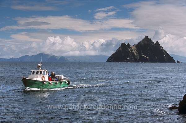 Little Skellig reserve, Kerry, Ireland - Reserve de little Skellig, Irlande  15303