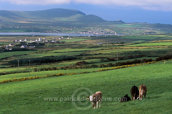 Valentia island, Kerry, Ireland - Valentia island, Irlande   15532