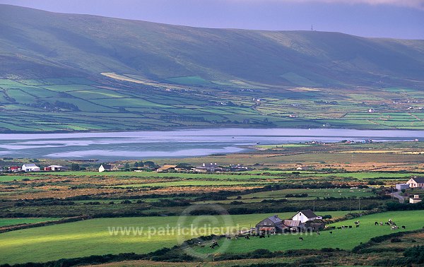 Valentia island, Kerry, Ireland - Valentia island, Irlande   15533