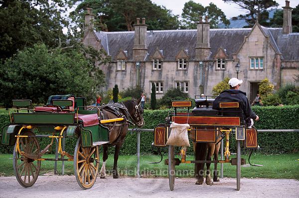 Muckross House, Killarney, Ireland - Muckross House, Killarney, Irlande  15545