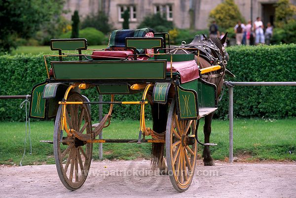 Muckross House, Killarney, Ireland - Muckross House, Killarney, Irlande  15547