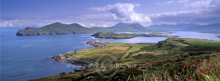 Valentia island, Kerry, Ireland - Ile de Valentia, Kerry, Irlande  15452