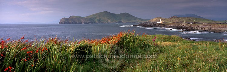 Valentia island, Kerry, Ireland - Ile de Valentia, Kerry, Irlande  15455