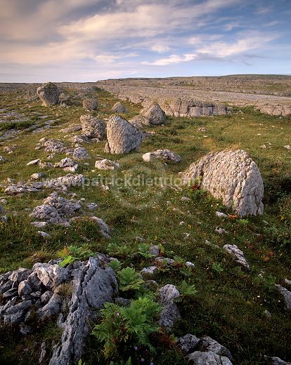 Burren landscape, Co Clare, Ireland - Paysage du Burren, Irlande  15391