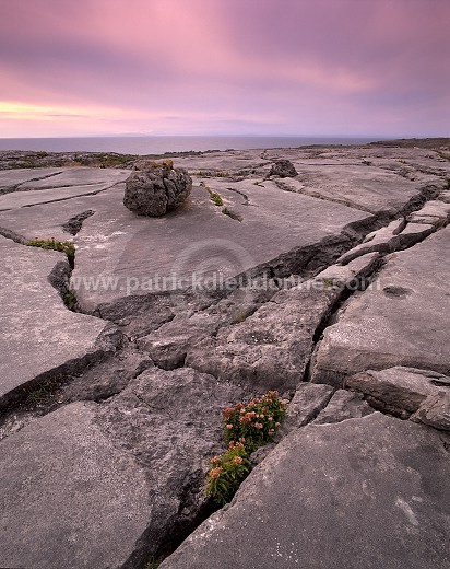 Burren landscape, Co Clare, Ireland - Paysage du Burren, Irlande  15387