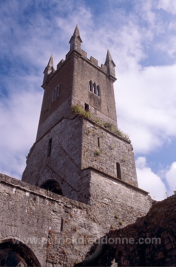 Ennis Friary, Ennis, Ireland - Abbaye d'Ennis, Irlande  15257