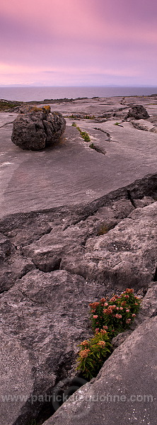 Burren landscape, Co Clare, Ireland - Paysage du Burren, Irlande 15390