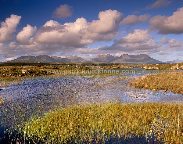 Twelve Pins, Connemara, Ireland - Les 12 monts, Connemara, Irlande  15417