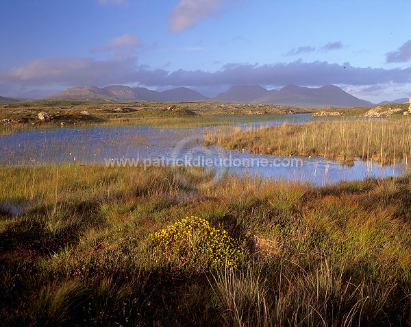 Twelve Pins, Connemara, Ireland - Les 12 monts, Connemara, Irlande  15418