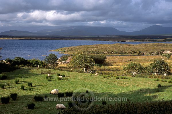 Corraun peninsula, near Achill Island, Ireland - Corraun peninsula, Irlande  15466