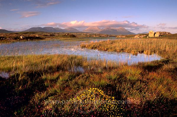 Twelve Pins, Connemara, Ireland - Les 12 monts, Connemara, Irlande 15421