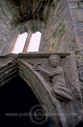 Rosserk Friary, Mayo, Ireland - Abbaye de Rosserk, Irlande  15267
