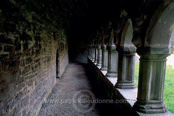 Moyne Abbey, Mayo, Ireland - Abbaye de Moyne, Irlande  15271