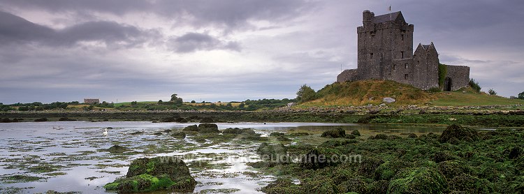 Dunguaire castle, Co Galway, Ireland - Chateau de Dunguaire, Irlande 15225