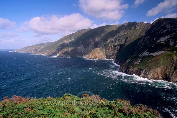 Slieve League cliffs, Donegal, Ireland - Falaises de Slieve League, Irlande  15363