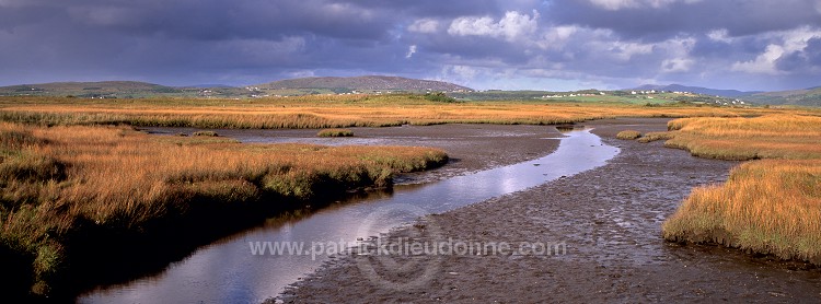 Flats in Gweebarra bay, Ireland -  Marais, baie de Gweebarra, Irlande  15379