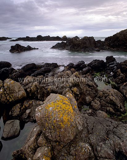 Rocky Antrim coast, Ireland (North) - Côte rocheuse, Irlande du Nord  15403
