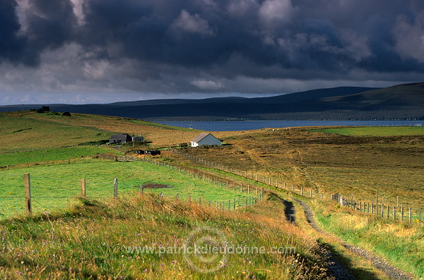 Fields at Clowally, Orkney, Scotland - Clowally, Orcades, Ecosse  15591