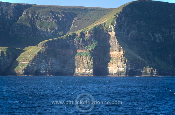 Hoy island cliffs, Orkney, Scotland - Ile de Hoy, falaises, Orcades, Ecosse  15619