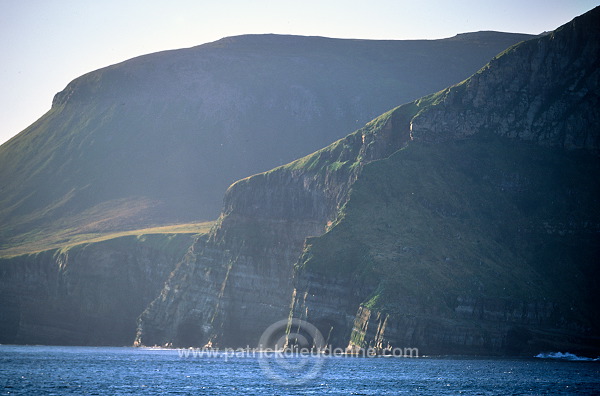 Hoy island cliffs, Orkney, Scotland - Ile de Hoy, falaises, Orcades, Ecosse  15623