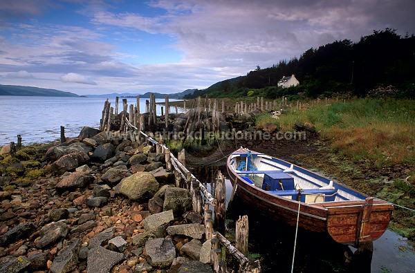 Loch Fyne, Argyll, Scotland - Ecosse - 18833