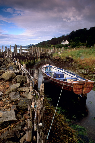 Loch Fyne, Argyll, Scotland - Ecosse - 18834