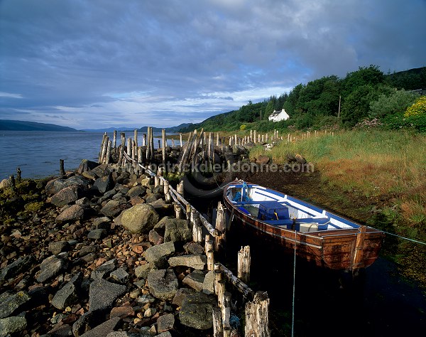 Loch Fyne, Argyll, Scotland - Loch Fyne, Ecosse - 15792